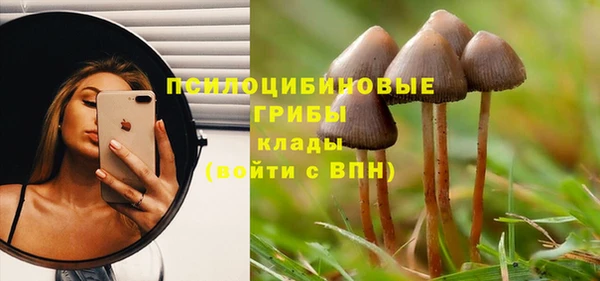 шишки Верхний Тагил